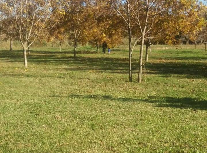 Terreno · 23000m²