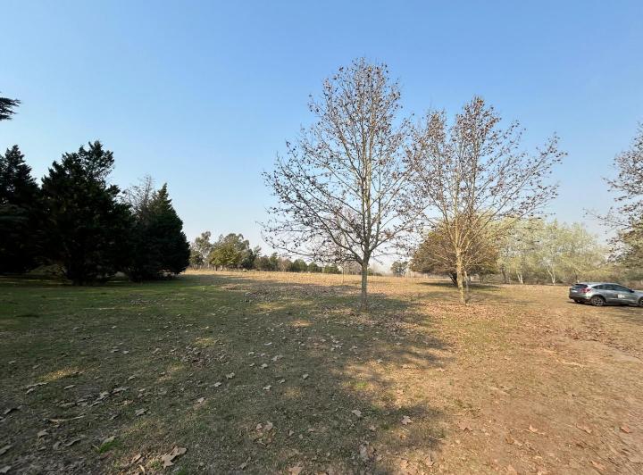 Terreno · 1000m²
