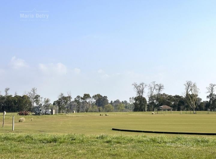 Terreno · 1502m²