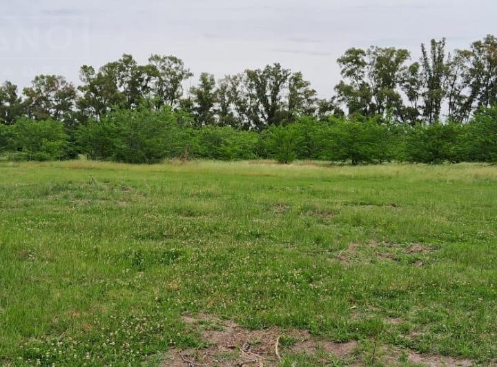 Terreno · 5200m²