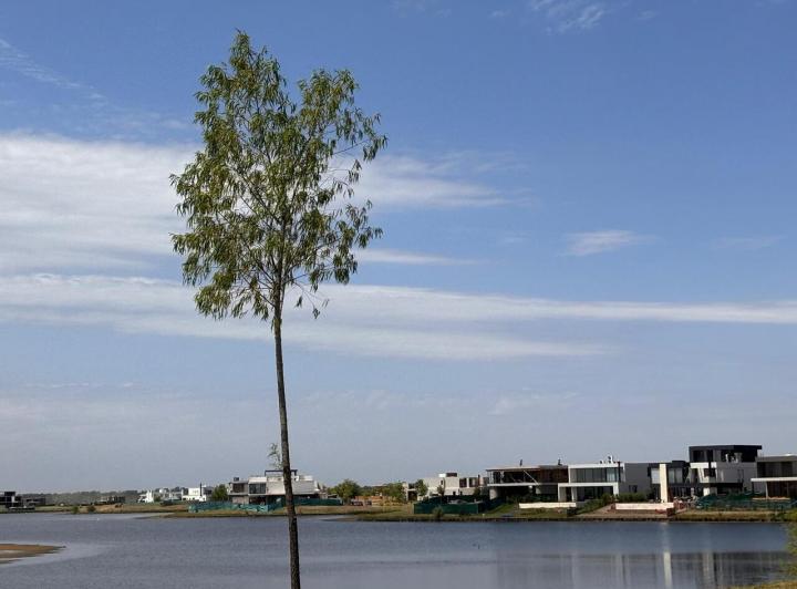 Terreno · 730m²