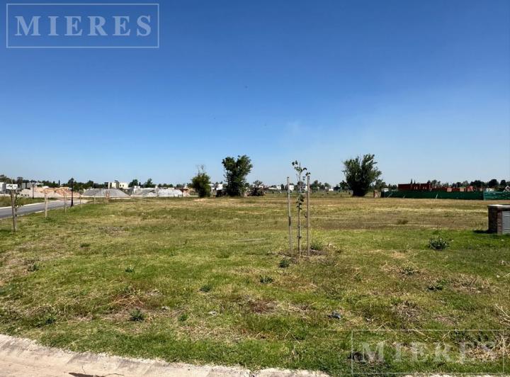 Terreno · 516m²