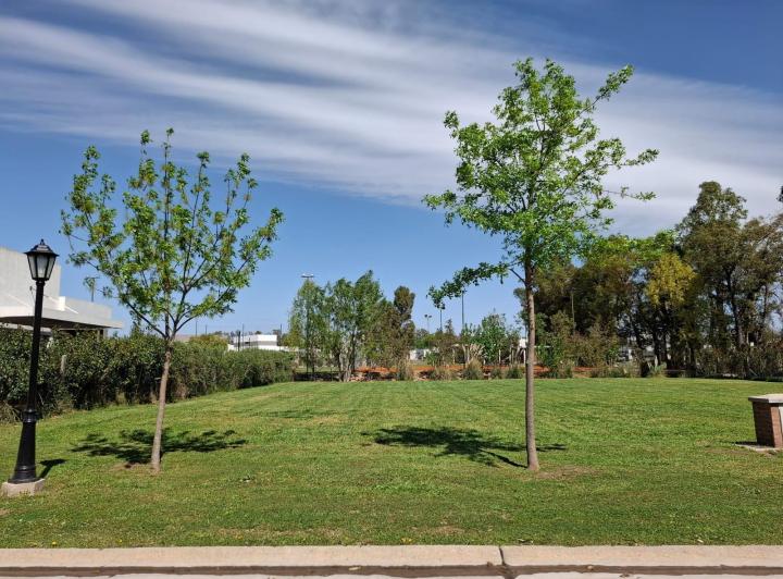 Terreno · 588m²