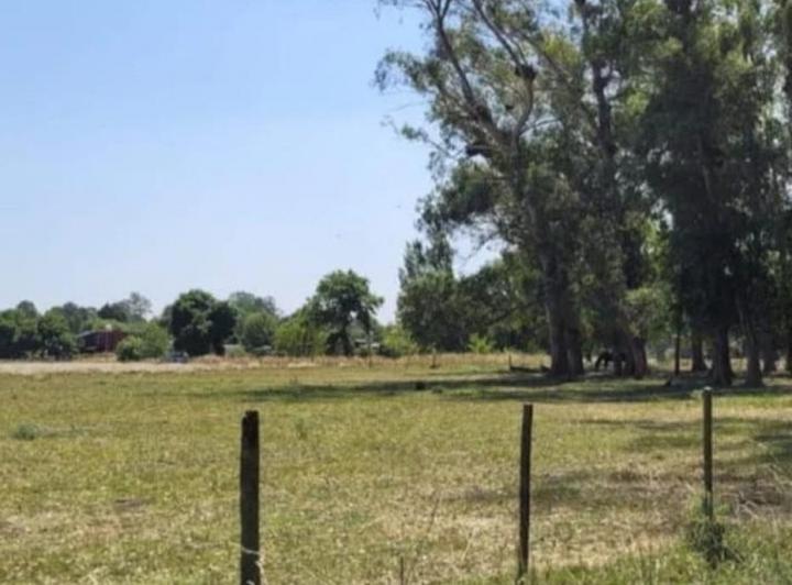 Terreno · 1500m²