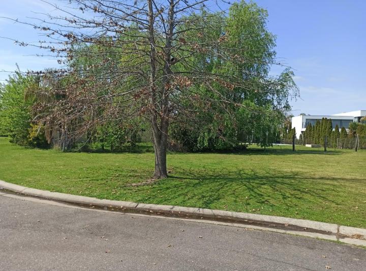 Terreno · 1130m²