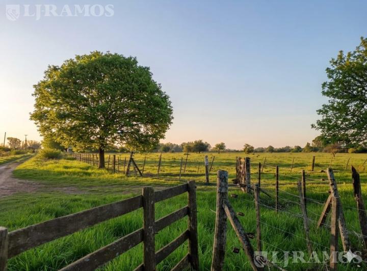 Terreno · 5000m²