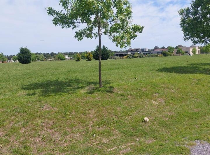 Terreno · 1113m²