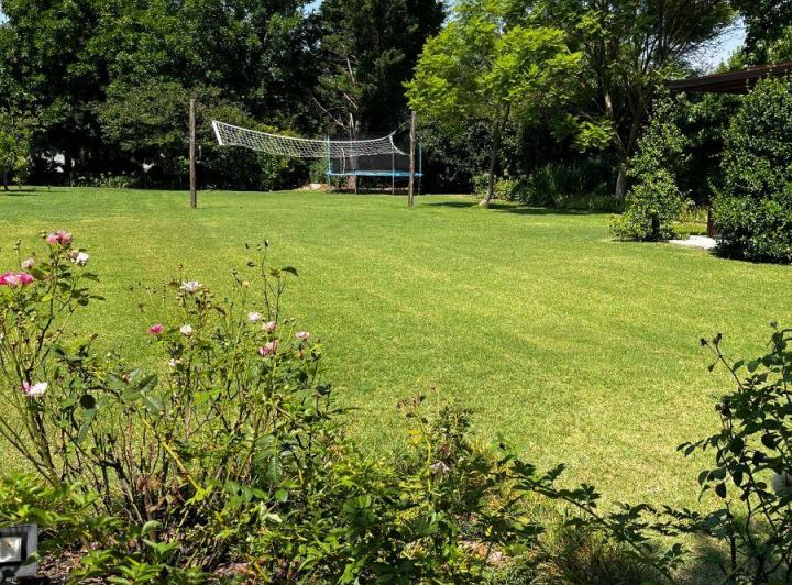 Terreno · 980m²