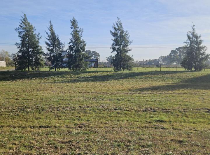 Terreno · 2500m²