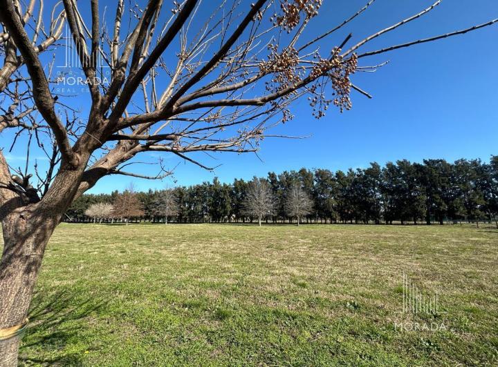 Terreno · 1042m²