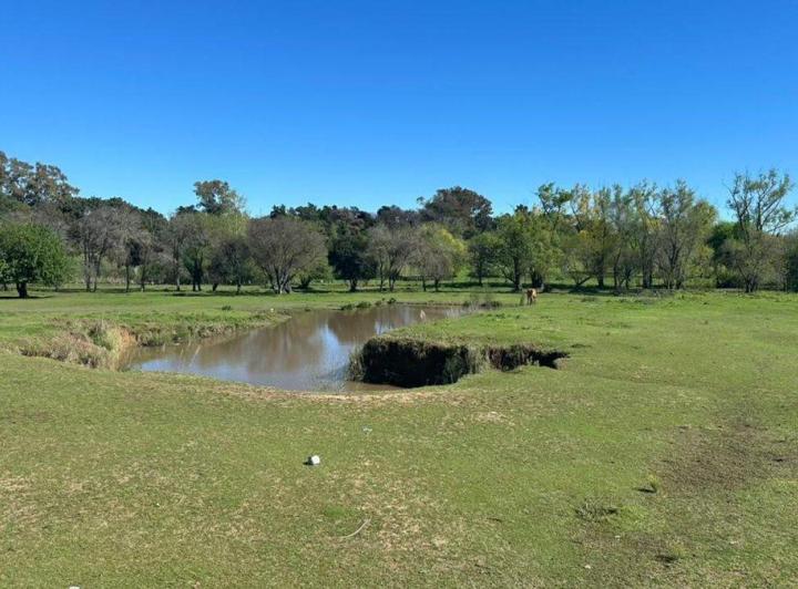 Terreno · 67600m²
