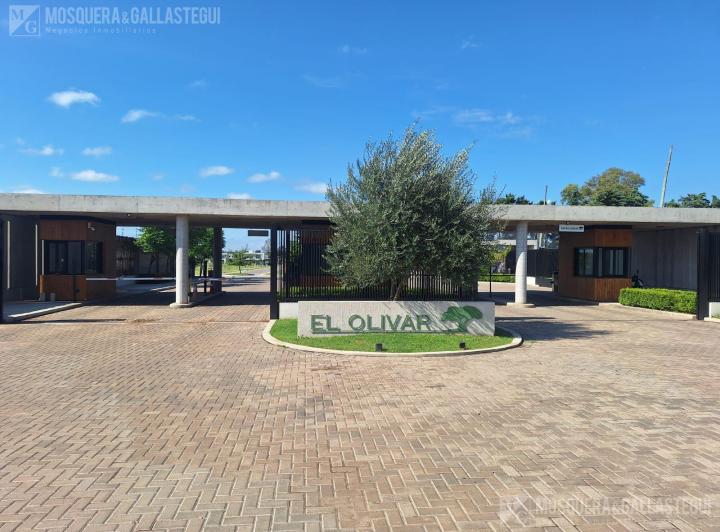 Terreno · 384m²
