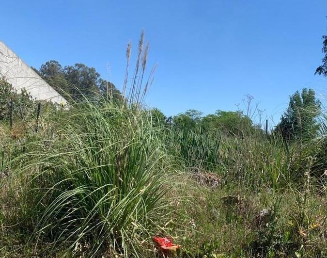 Terreno · 11000m²