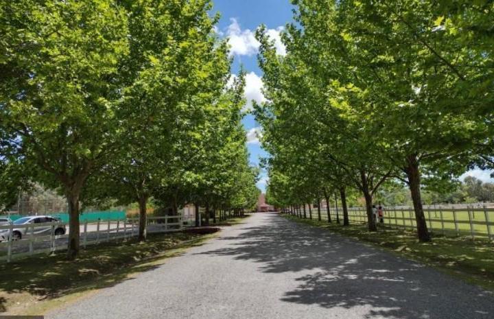 Terreno · 1500m²