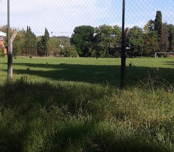 Terreno · 982m²