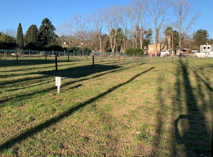 Terreno · 440m²