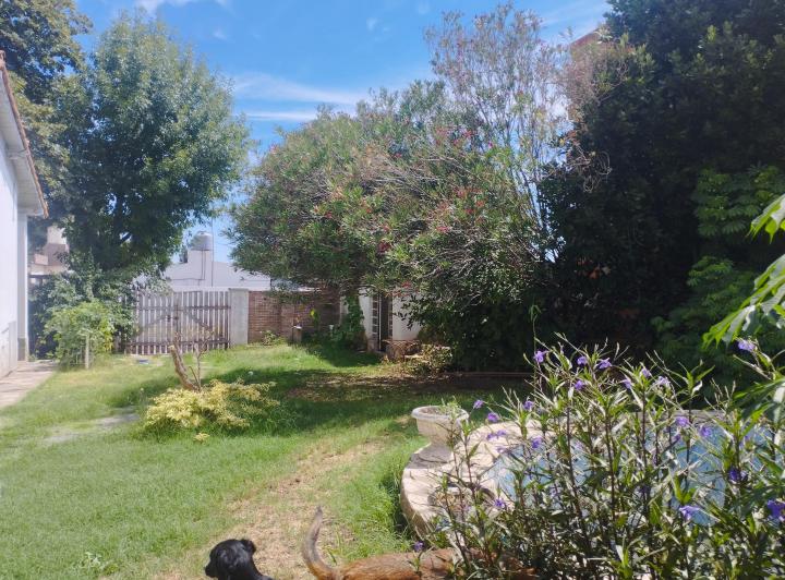 Terreno · 40m² · 1 Ambiente