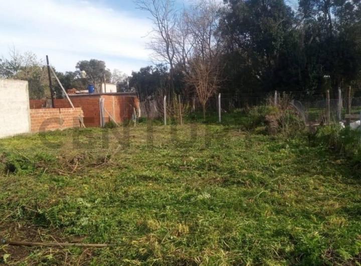 Terreno · 172m²