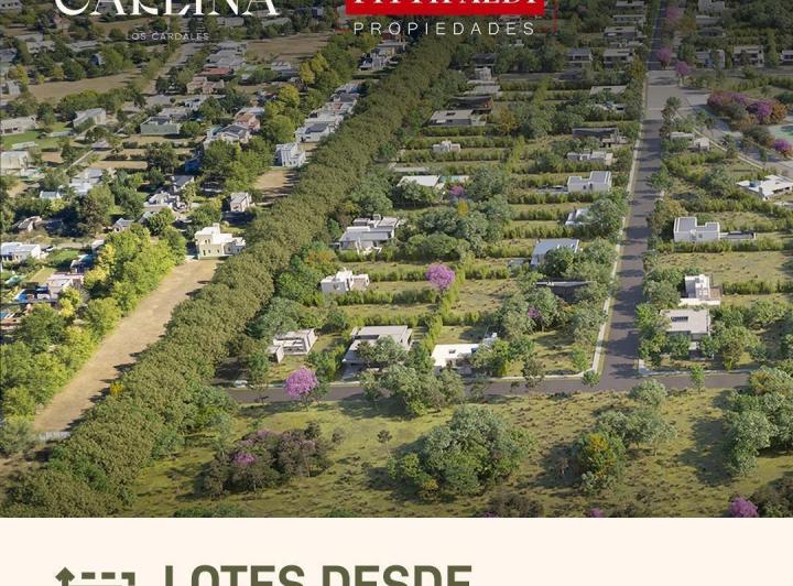 Terreno · 1000m²