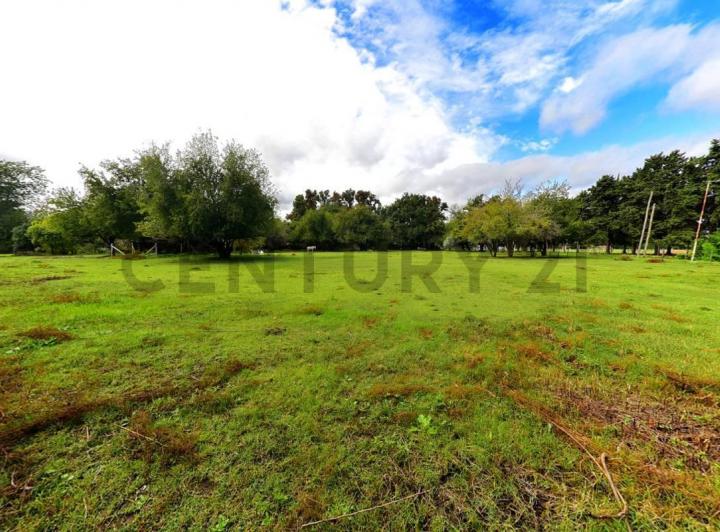 Terreno · 1001m²
