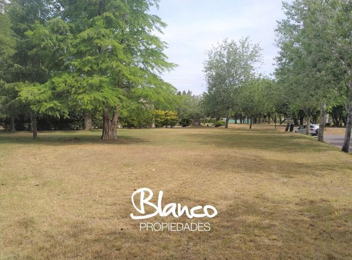 Terreno · 998m²