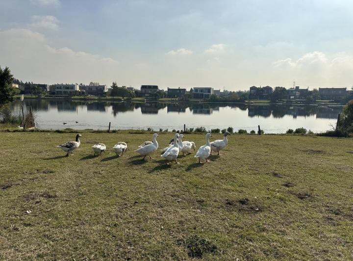 Terreno · 943m²