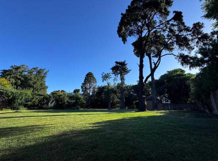 Terreno · 1146m²