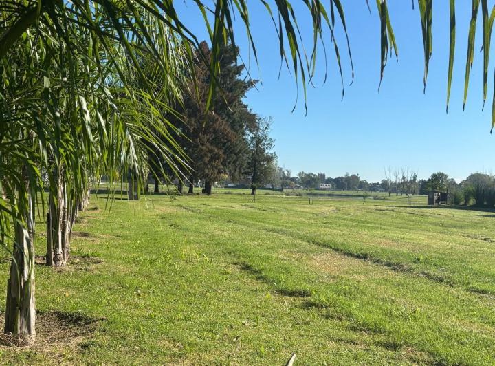 Terreno · 1080m²