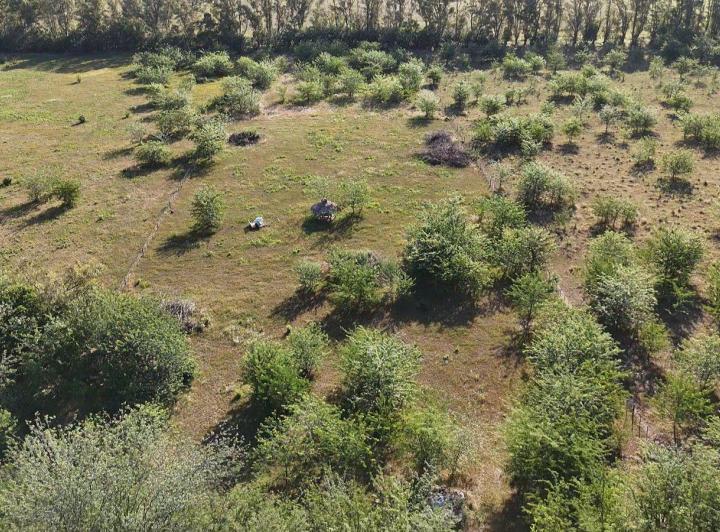 Terreno · 15600m²