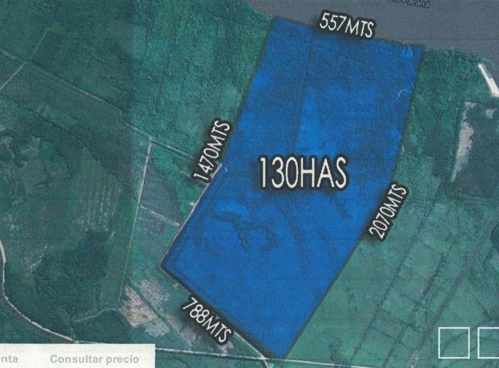 Terreno · 130ha