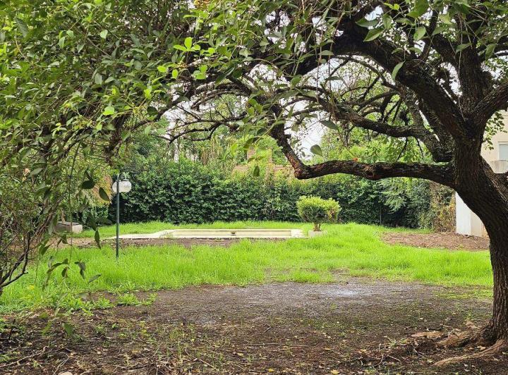 Terreno · 650m²