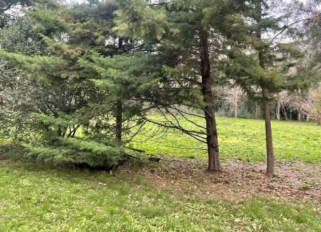 Terreno · 3538m²