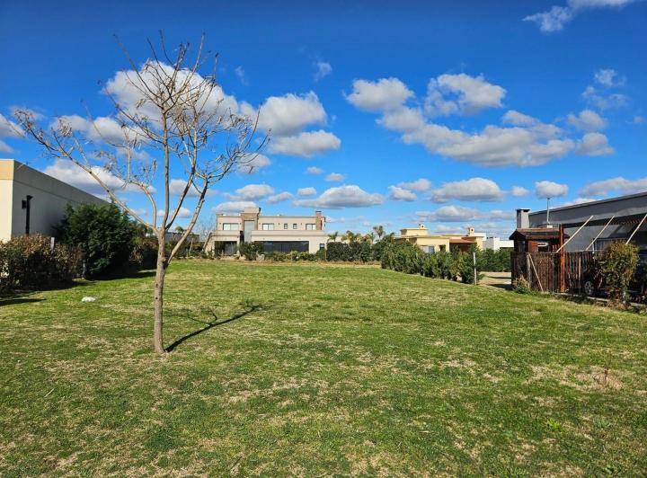 Terreno · 555m²