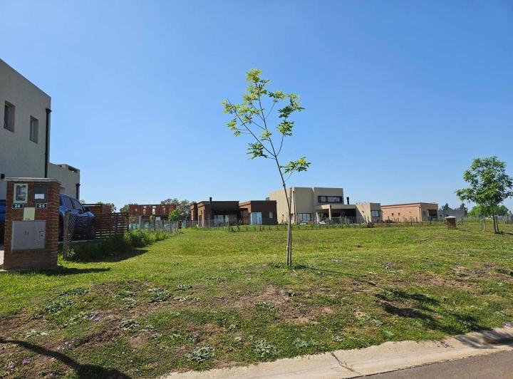 Terreno · 450m²