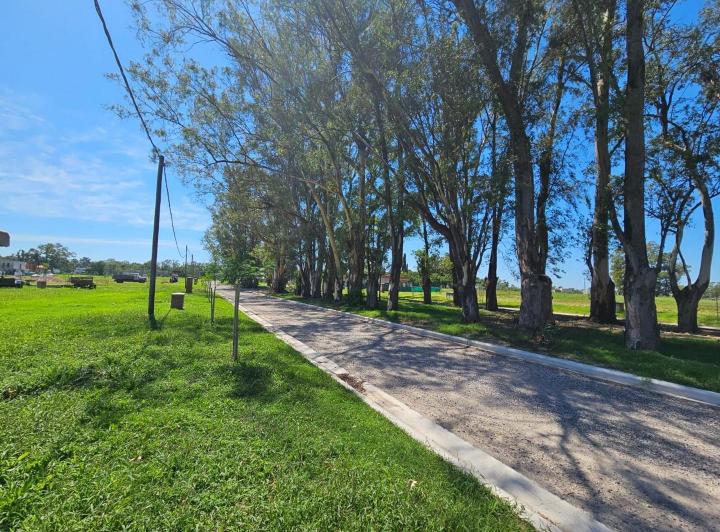 Terreno · 497m²
