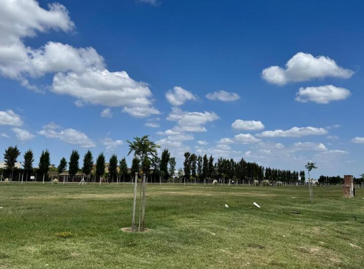 Terreno · 965m²