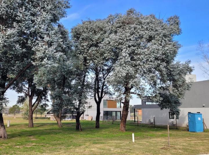 Terreno · 614m²