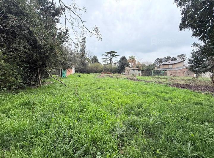 Terreno · 370m²