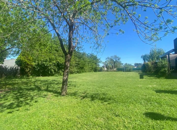 Terreno · 715m²