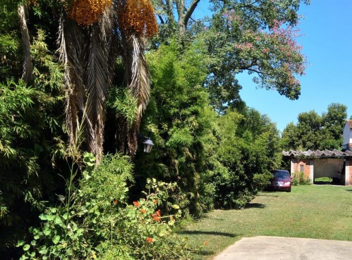 Terreno · 1m² · 1 Ambiente