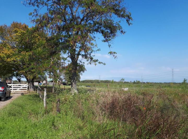 Terreno · 346007m²