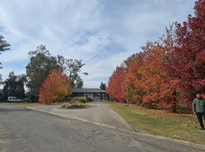 Terreno · 1350m²