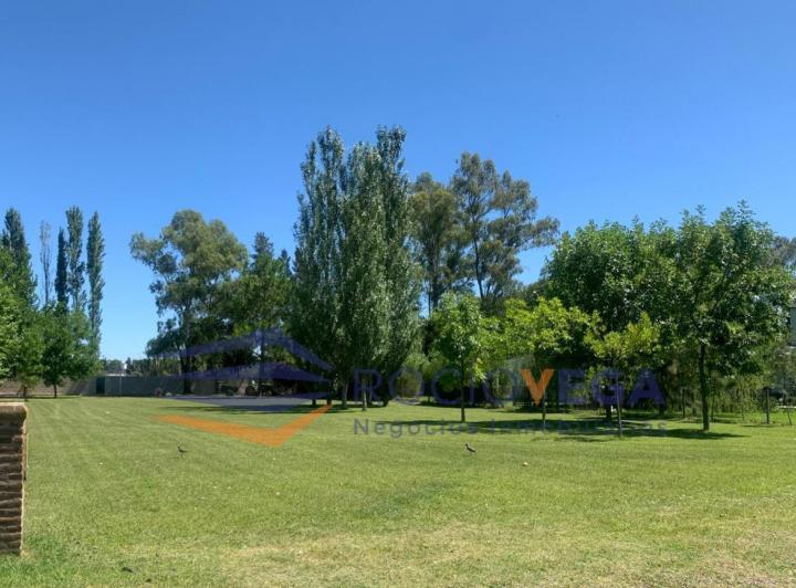 Terreno · 1550m²