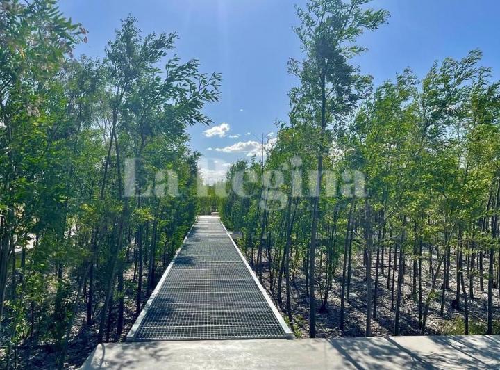 Terreno · 835m²
