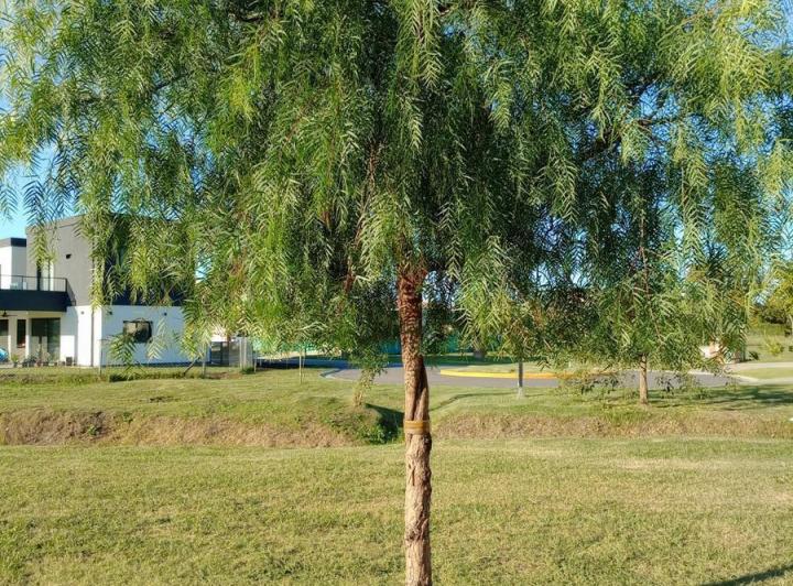 Terreno · 576m²