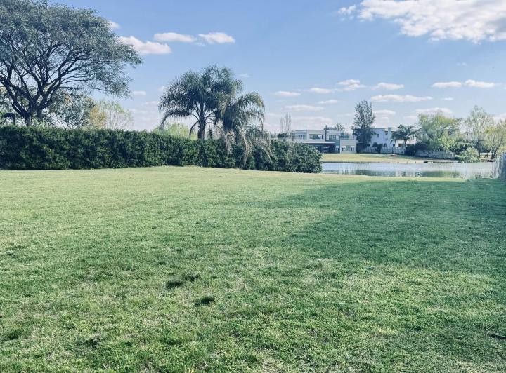 Terreno · 1184m²