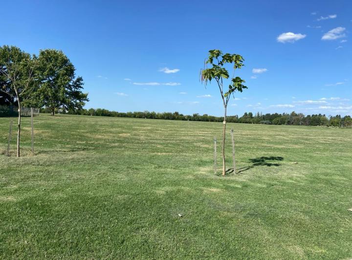 Terreno · 1506m²