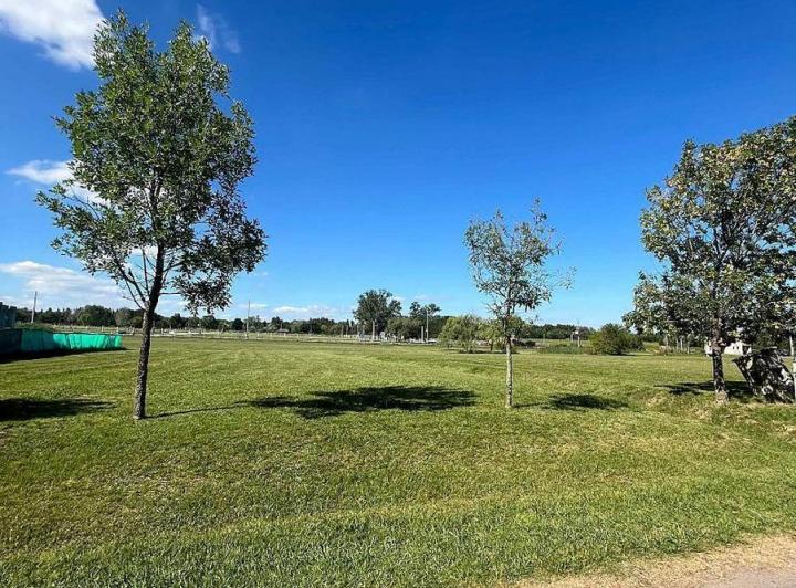 Terreno · 1204m²