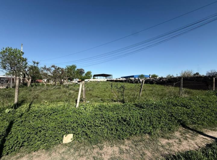 Terreno · 12000m²