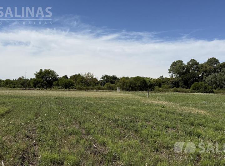 Terreno · 3600m²